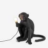 SELETTI Sitting Monkey Resin Outdoor Lamp 42cm 2 SELETTI Sitting Monkey Resin Outdoor Lamp 42cm -SELETTI Cheap Deals unnamed file 1094