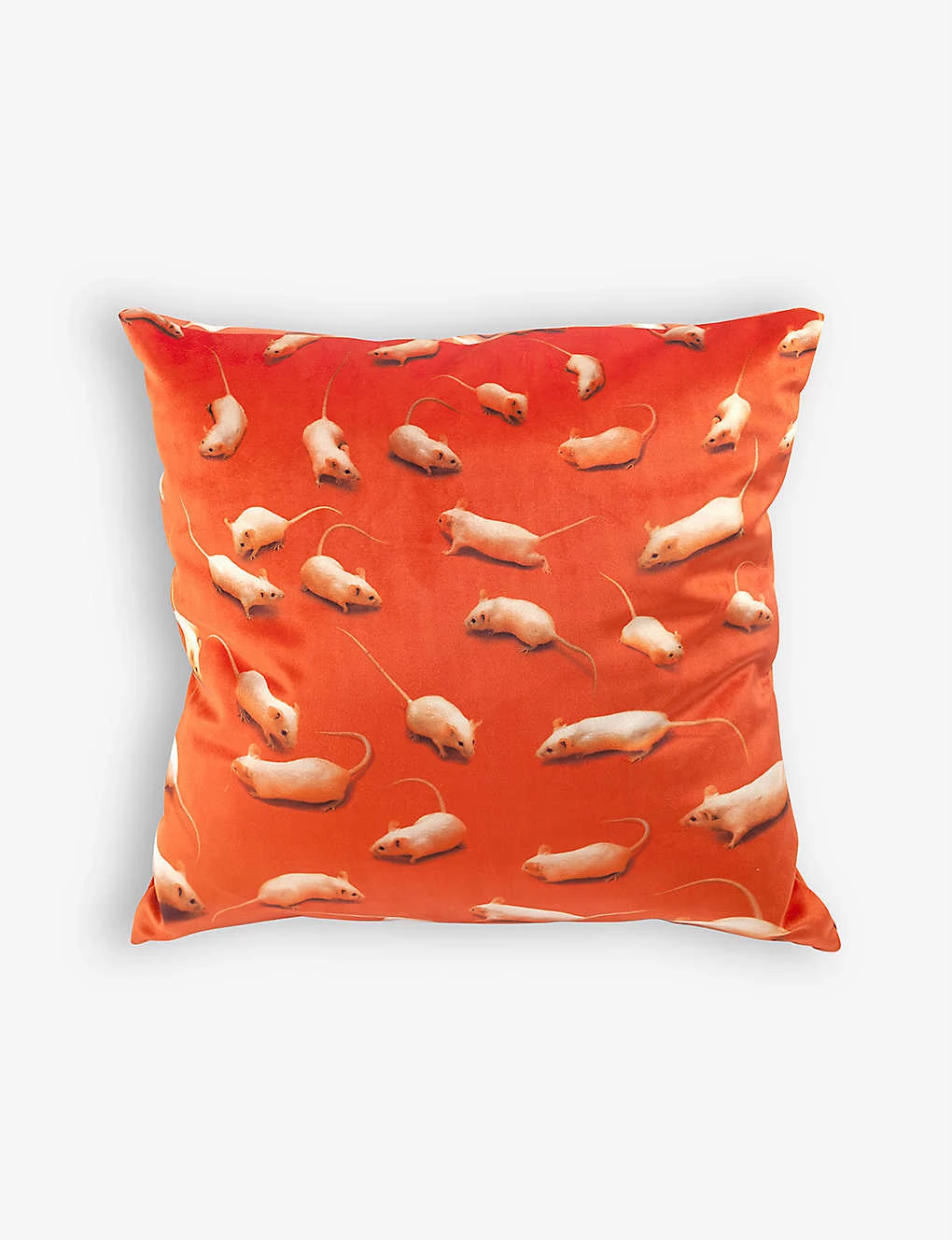 Seletti Wears TOILETPAPER Kitten Cushion Cover 50cm X 50cm 4 Seletti Wears TOILETPAPER Kitten Cushion Cover 50cm X 50cm - Imagen 2